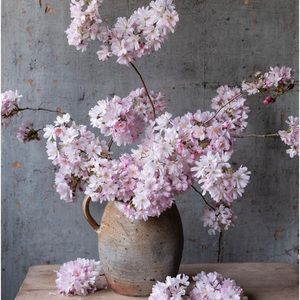 🌸 Thank you! 🌸